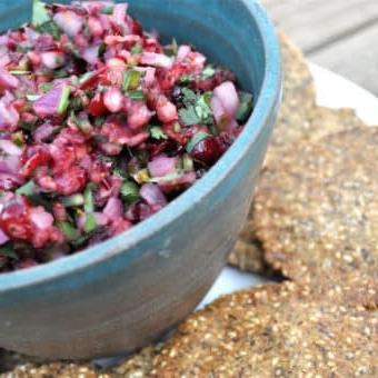 Paleo Cranberry Salsa und Chips 7 Preiselbeer-Salsa und Chips